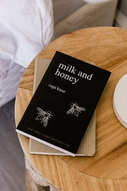 To Kill a Mockingbird book cover